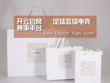 项目名称十一