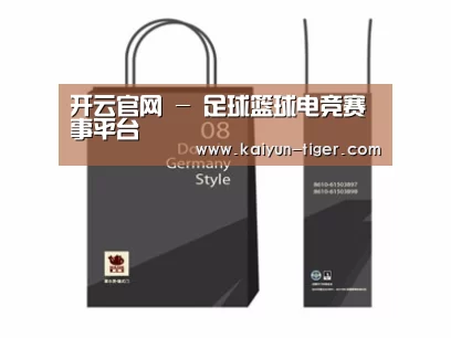 项目名称十四