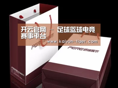 项目名称十二