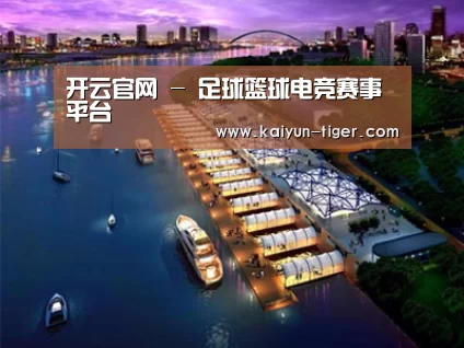 案例展示八