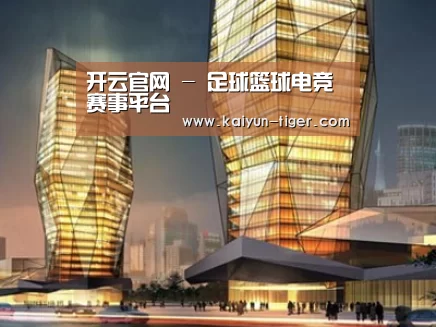 案例展示三