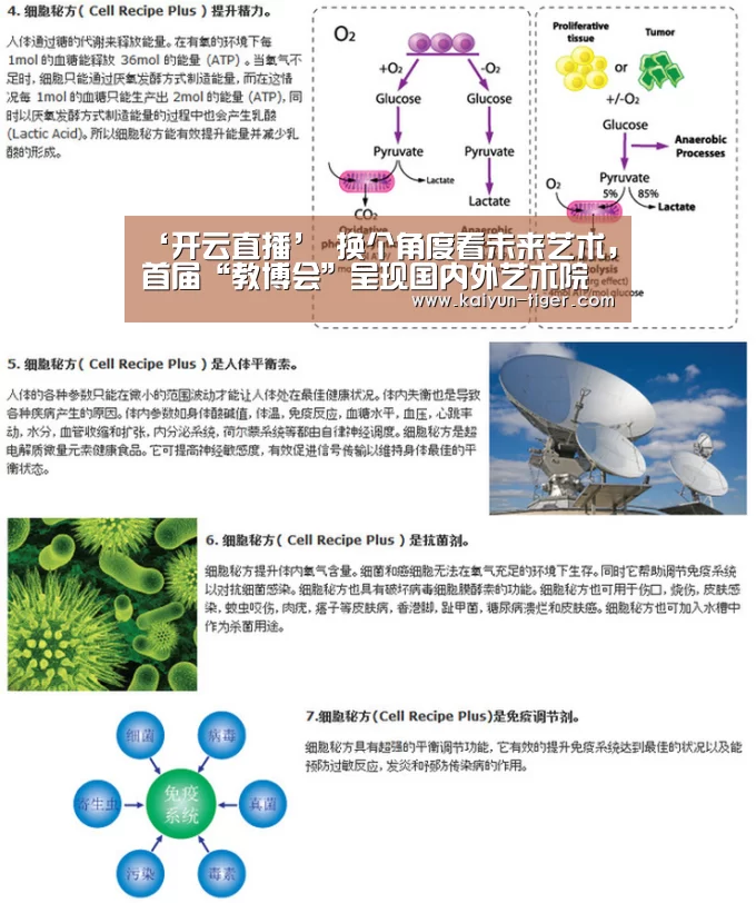 开云直播