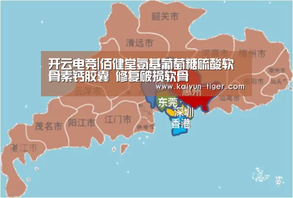 开云竞猜