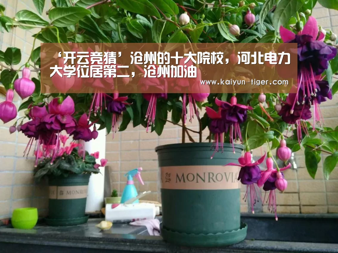 ‘开云竞猜’沧州的十大院校,河北电力大学位居第二,沧州加油(图2) 开云电竞